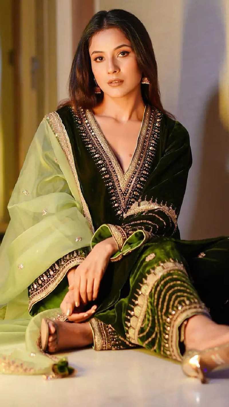 shehnaaz gill bigg boss successful contestants