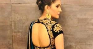 sapna choudhary backless saree hot haryanvi actress