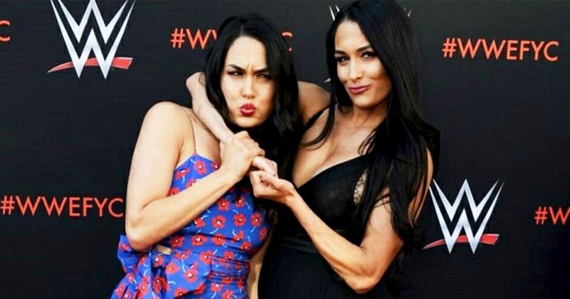 bella twins top 5 facts