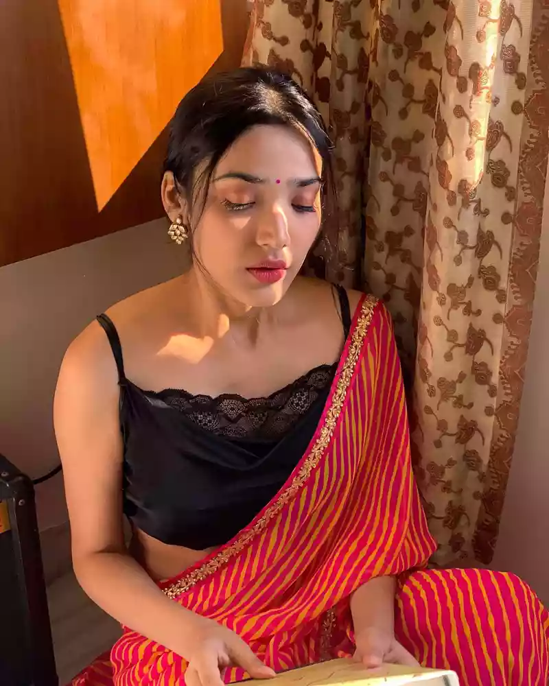medha shankr in saree 12th fail actress (3)