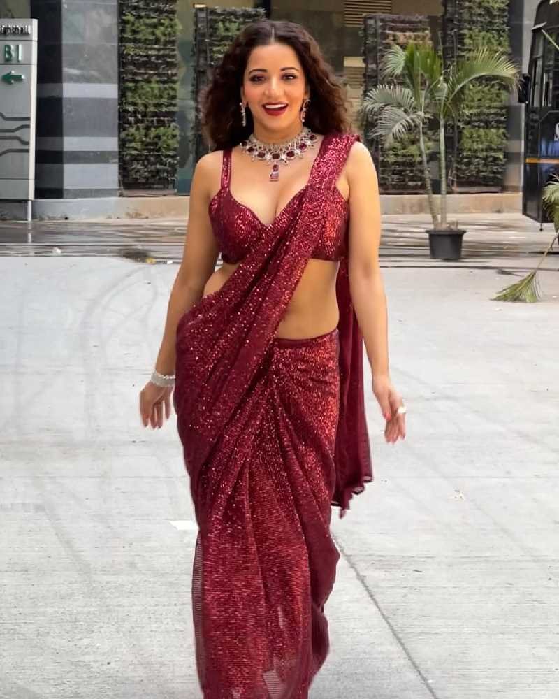 monalisa bigg boss successful contestants
