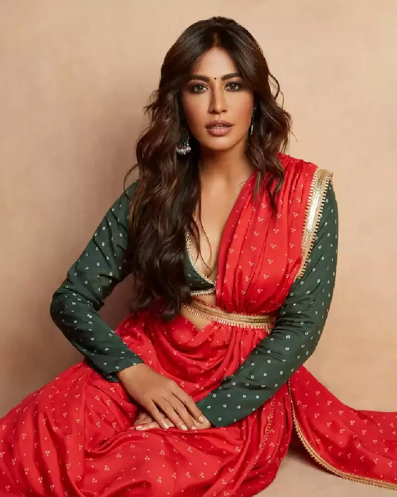 chitrangada singh full sleeves blouse saree