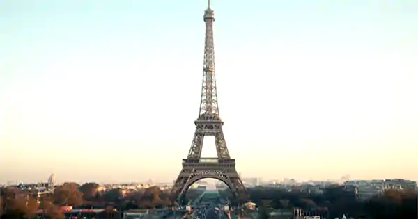 facts about french language