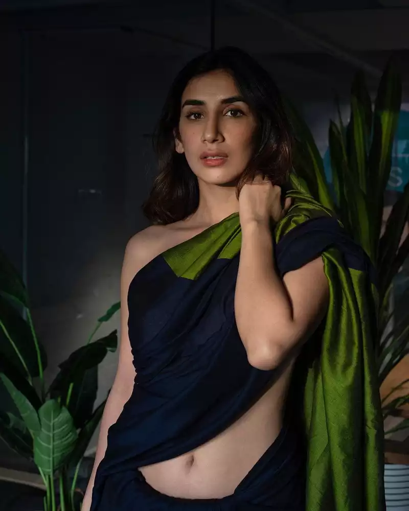 parul gulati saree navel indian actress (3)