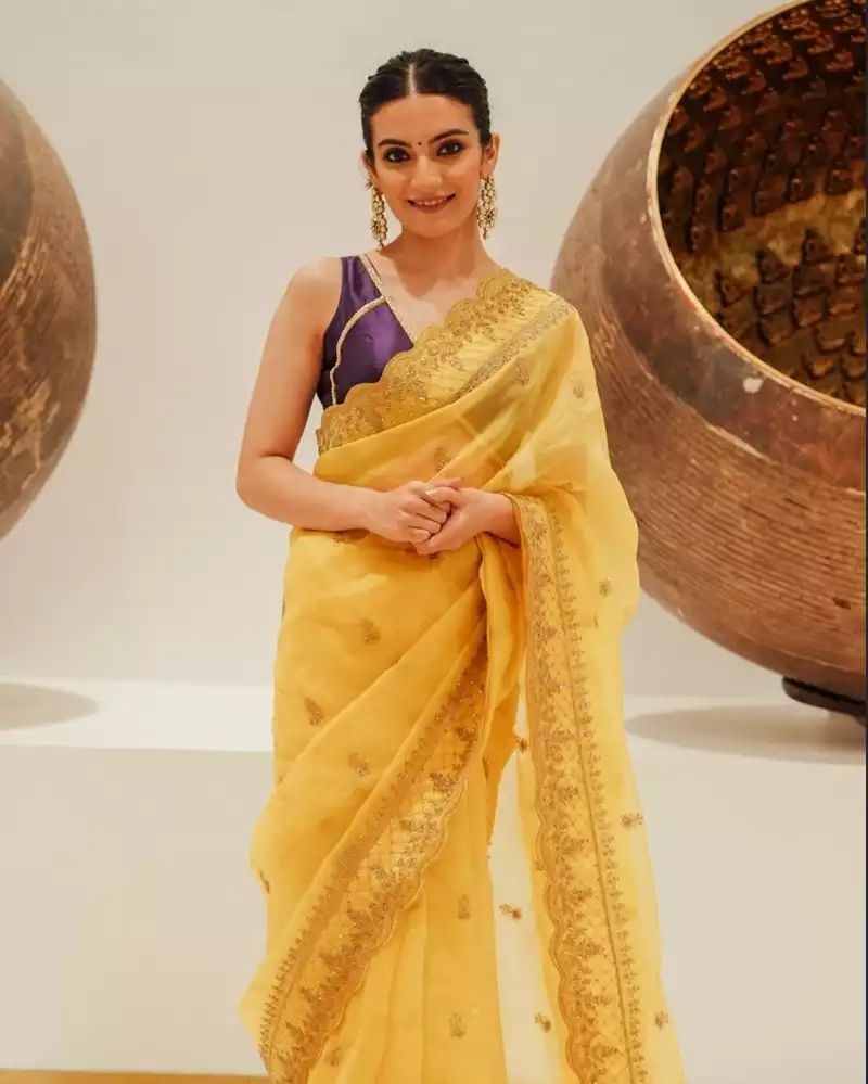 pratibha ranta saree laapataa ladies actress jaya (1)